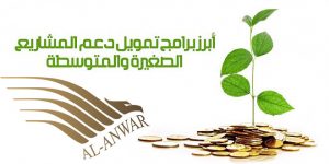 تمويل المشاريع