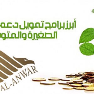 تمويل المشاريع